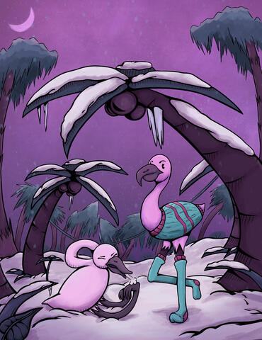 Flamingo in socks (2024)